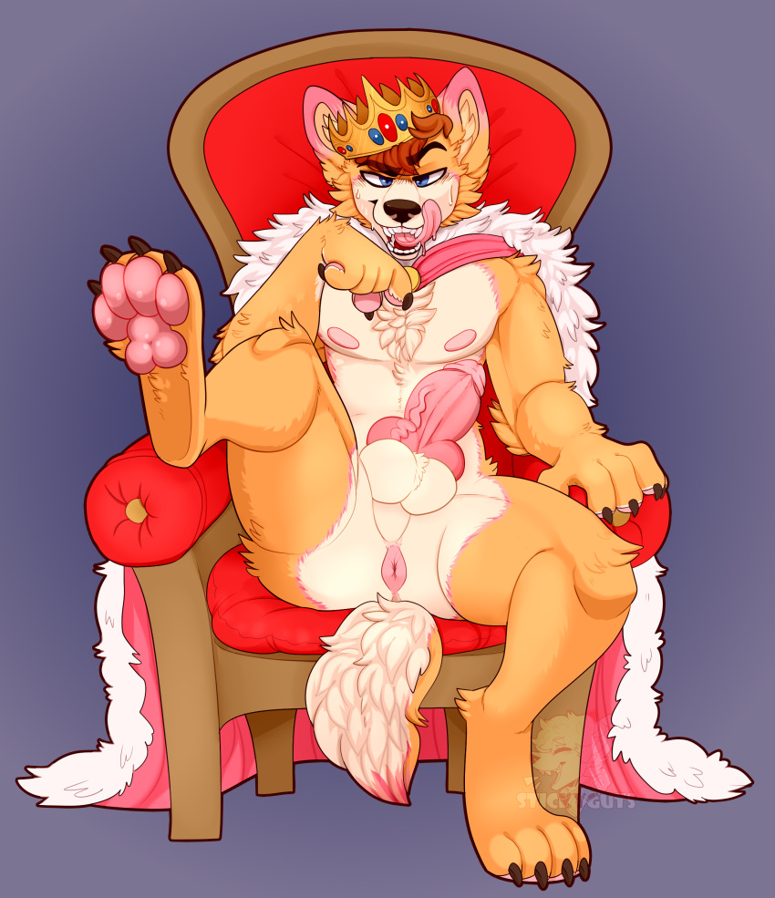 1boy 2019 anal animal_genitalia animal_penis anthro anus ass balls blue_eyes blush canid canine canine_penis canis cape chair claws clothed clothing corgi crown domestic_dog fur hair hi_res king knot looking_at_viewer male male_only mammal nipples open_mouth paws penis royalty simple_background sitting smile solo stickyguts sweat teeth throne tongue vein veiny_penis white_fur