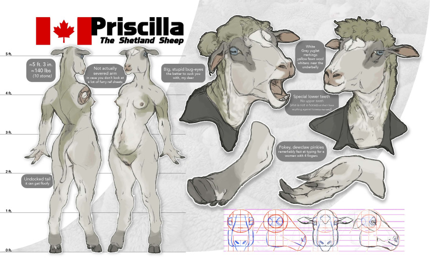 anthro blonde_hair blue_eyes bovid breasts caprine cloven_hooves female fur grey_fur hair hooves horizontal_pupils mammal model_sheet nipples nude priscillasheep pussy sheep shetland_sheep slightly_chubby solo standing