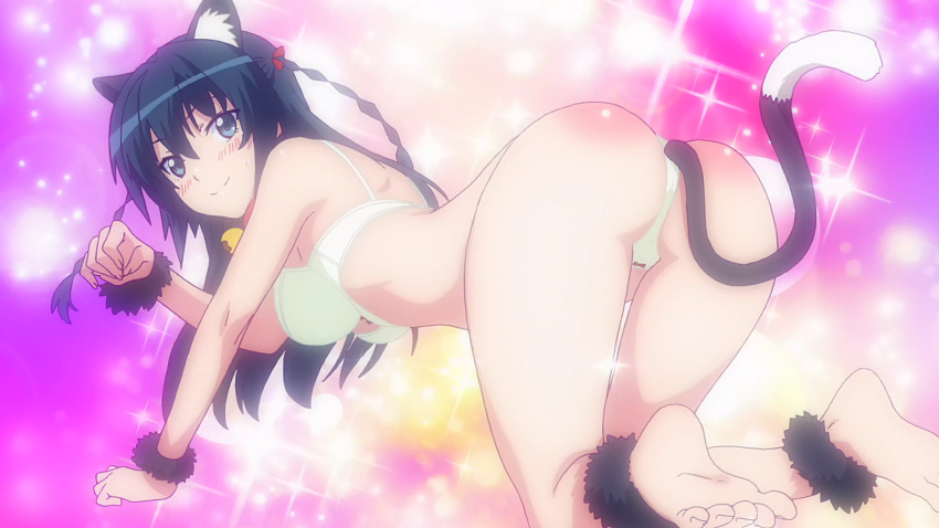 anal_object_insertion ass black_hair blush bow_panties bra breasts buttplug buttplug_tail cat_ears cat_tail female himekawa_hayuru large_breasts long_hair masou_gakuen_hxh panties straight tail white_bra white_panties