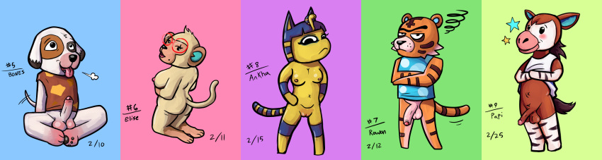 2019 2girls 3boys animal_crossing ankha anthro ass back black_nose blue_hair blush bones_(animal_crossing) bottomless breasts brown_fur canid canine canis circumcised clothed clothing domestic_cat egyptian egyptian_headdress elise_(animal_crossing) equine erection eyewear feet feline female flaccid foreskin fur furry giraffid glasses hair headdress headwear heavy_breathing humanoid_penis jewelry kneeling looking_at_viewer looking_back male mammal monkey mr._shigglesworth nintendo nipples nude okapi open_mouth pantherine papi_(animal_crossing) paws penis primate pussy rowan_(animal_crossing) shirt simple_background sitting smile stripes tail tail_tuft testicles text tiger tongue tongue_out tuft uncut video_games watermark