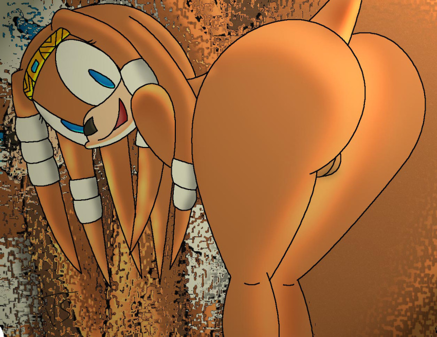 2d mobian mobian_(species) mobian_echidna sega sonic_(series) sonic_adventure sonic_the_hedgehog_(series) straight_hair tagme tikal_the_echidna
