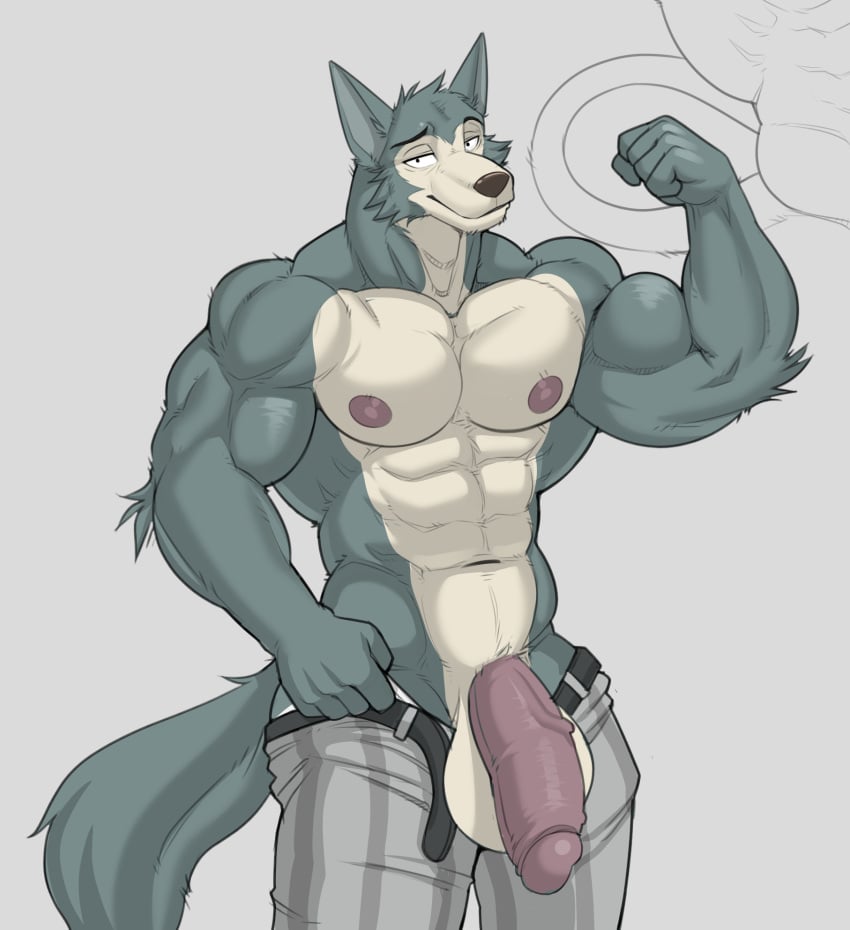 abs anthro balls beastars belt biceps big_balls big_muscles big_penis bottomwear canid canine canis clothed clothing flaccid flexing genitals hi_res huge_balls huge_cock huge_muscles legoshi_(beastars) male mammal muscular nipples open_bottomwear open_clothing open_pants pants pecs penis smile solo vein veiny_penis vexedlupine wolf