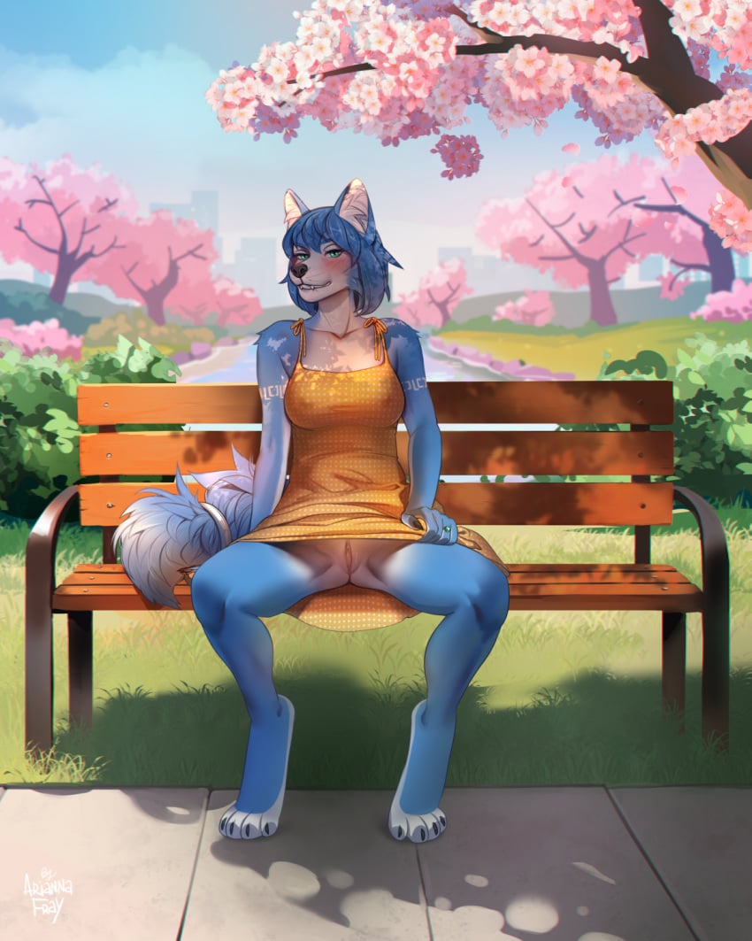 anthro ariannafray_pr bench bite biting_lip blue_body blue_eyes blue_fur blue_hair breasts canid canine cherry_blossom cherry_tree clothed clothing crossed_legs day dress female flashing flower fluffy fluffy_tail fox front_view fruit_tree fur genitals hair hi_res inner_ear_fluff krystal_(star_fox) mammal nintendo no_underwear outside park park_bench plant prunus_(flower) pussy sitting sky solo star_fox sundress tail tree tuft upskirt yellow_clothing yellow_dress