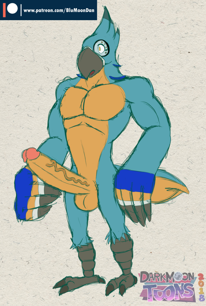 1boy anthro anthrofied avian beak biceps bird blu3danny blue_feathers breath_of_the_wild darkmoontoons erection feathers humanoid_penis kass kass_(zelda) male male_only muscular nintendo nude open_mouth pecs penis rito solo standing talons the_legend_of_zelda video_games yellow_eyes yellow_feathers