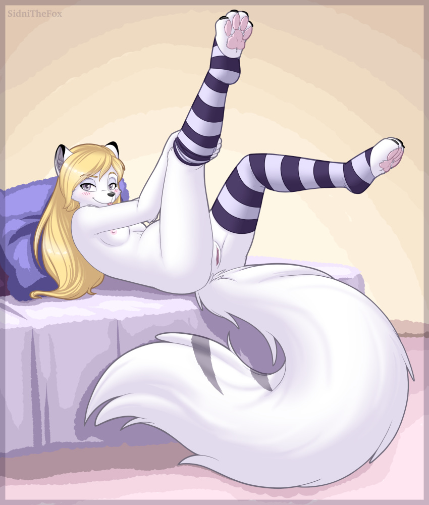 2019 absurd_res anthro arctic_fox bedroom_eyes belly big_belly blonde_hair blush breasts canid canine claws clothing female fox fur hair half-closed_eyes hi_res legwear looking_at_viewer lying mammal nipples nude on_back pawpads paws pregnant pussy seductive sidni sidnithefox smaller_version_at_source smile solo stockings toes tongue white_fur