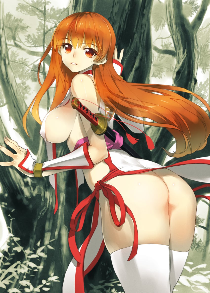 Kasumi (Doa) Rule 34 Image