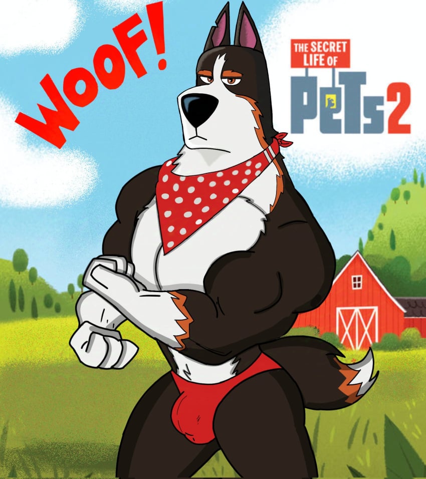 Rooster (The Secret Life Of Pets) Rule 34 Image
