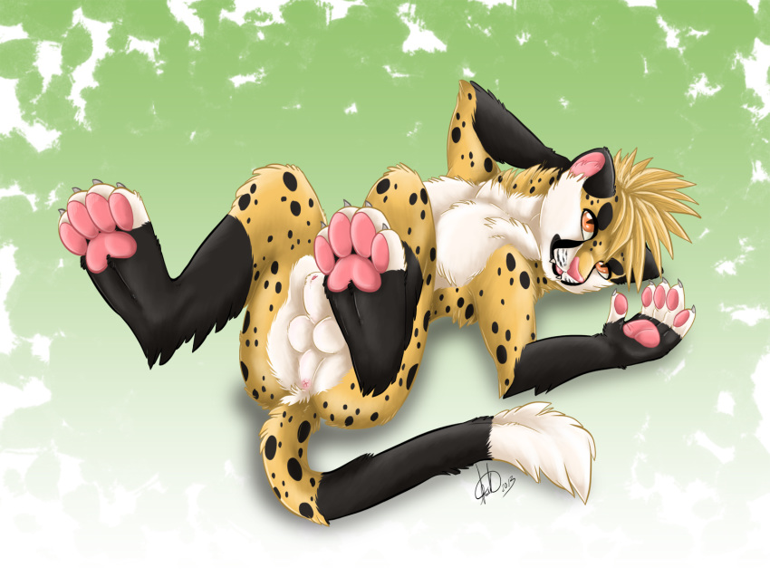 2013 Rule 34 Image