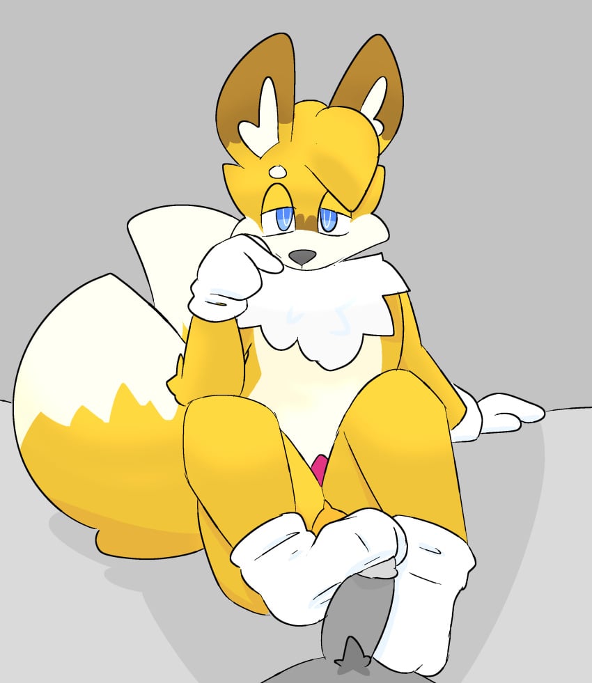 Miles Prower (Sega) Rule 34 Image