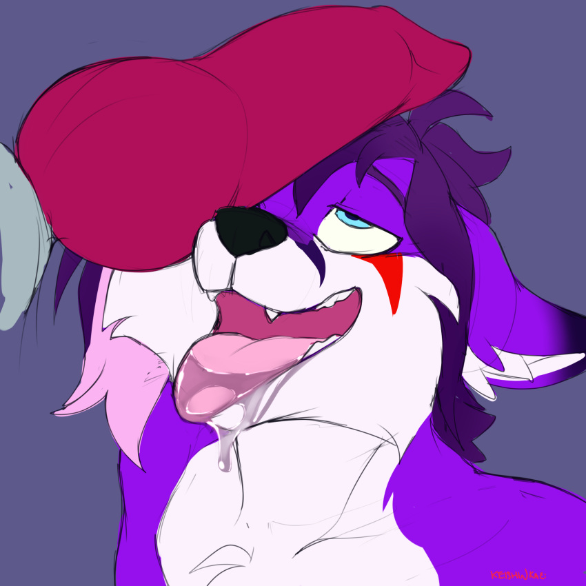 2018 animal_genitalia animal_penis anthro canid canine canine_penis close-up cock_worship drooling erection fox fur hair hi_res keishinkae knot male mammal nude open_mouth penis purple_fur saliva simple_background sketch smile tek-fox tongue tongue_out yaoi