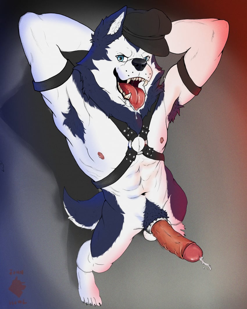 Bau Husky Rule 34 Image