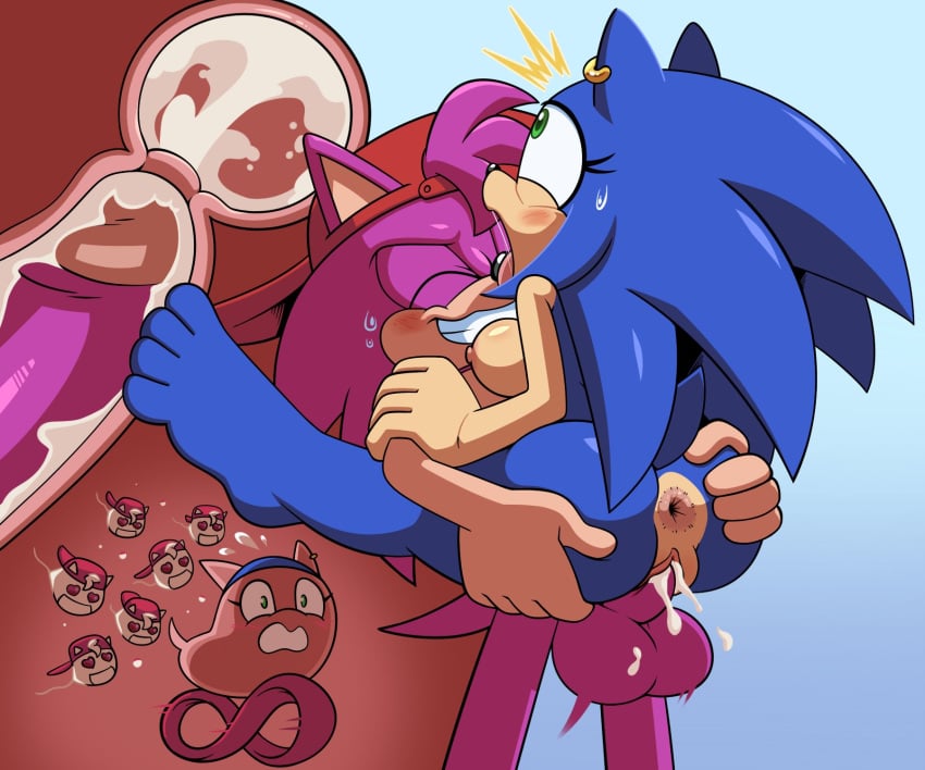 6:5 allen_ross amy_rose anthro anus balls cum duo ejaculation female ftm_crossgender genitals hi_res hyoumaru impregnation male male/female medium_breasts mtf_crossgender ovum ovum_with_face rule_63 sega sonic_(series) sonic_the_hedgehog sonic_the_hedgehog_(series) sonique_the_hedgehog sperm_cell sperm_cell_with_face velocity_the_hedgehog x-ray