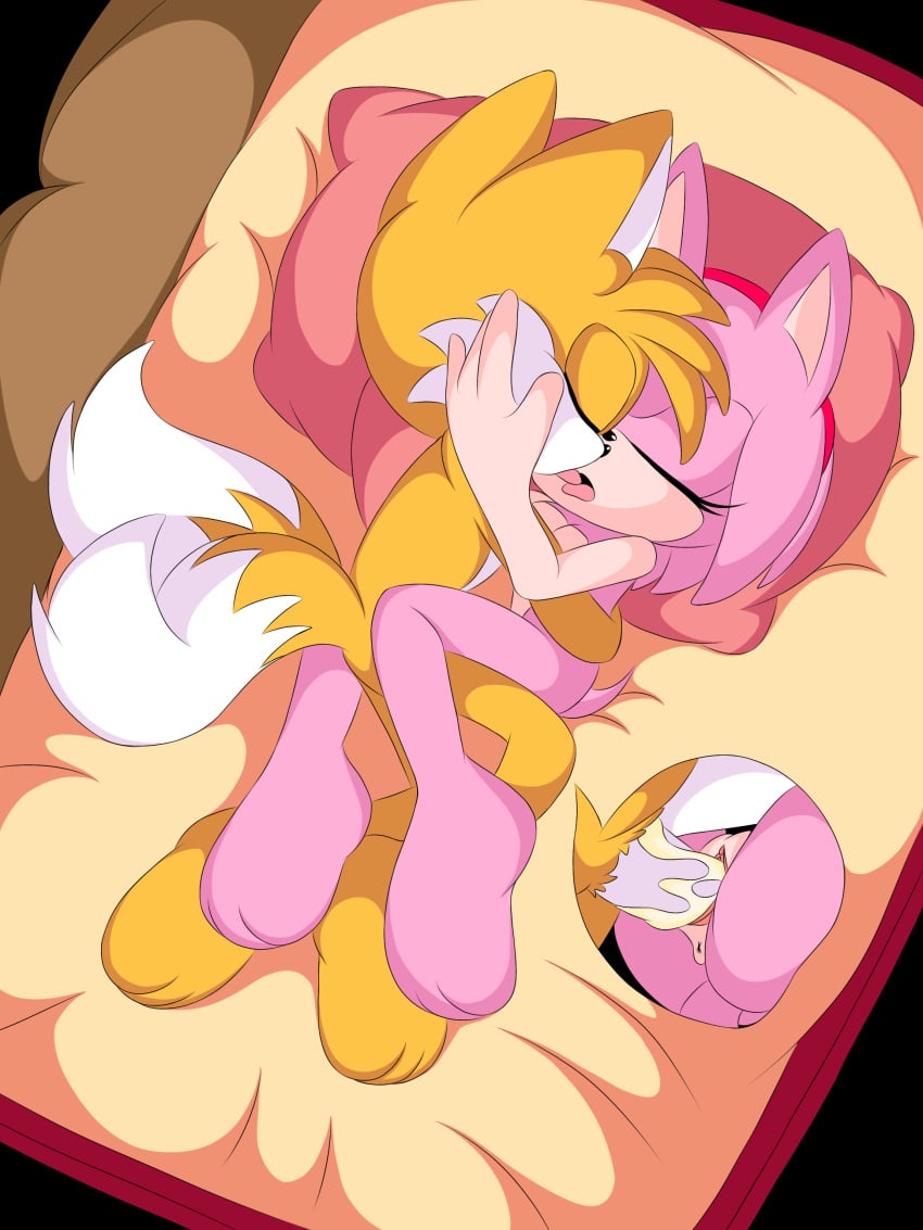 1boy 1boy1girl 1girls amy_rose anthro fox hedgehog j_nsfw male/female sega sonic_(series) sonic_the_hedgehog_(series) straight tagme tails tails_the_fox twink vaginal_penetration wholesome