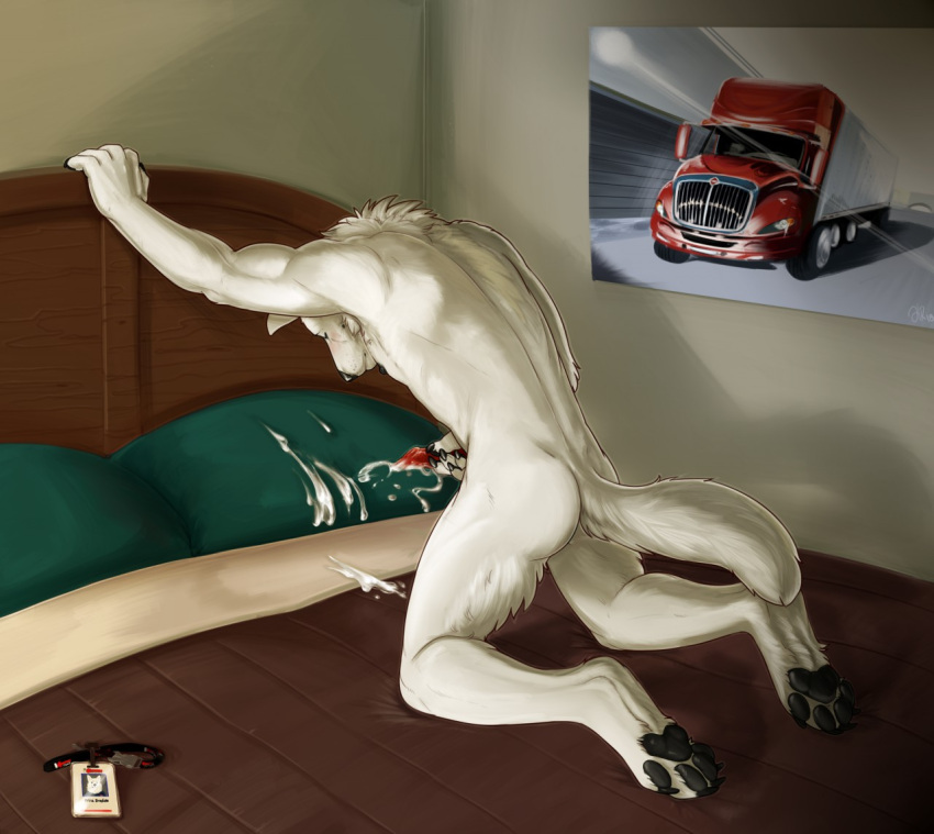 Hans (Wolfnam) Rule 34 Image