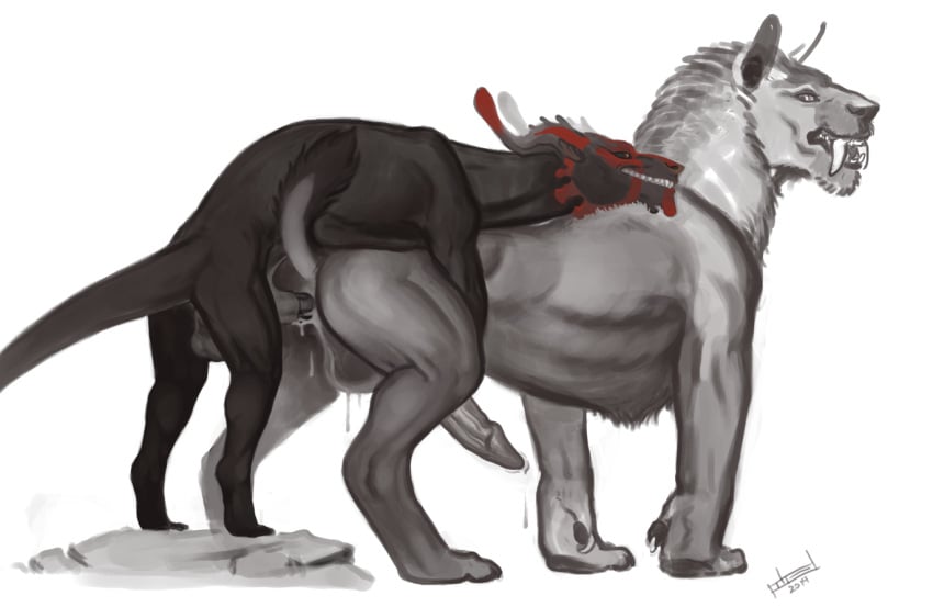 anal ass balls cum cum_in_ass cum_inside demon erection feral feral_on_feral fur gay grin interspecies male penetration penis pheel plain_background sabertooth size_difference sketch small_dom_big_sub unfinished white_background