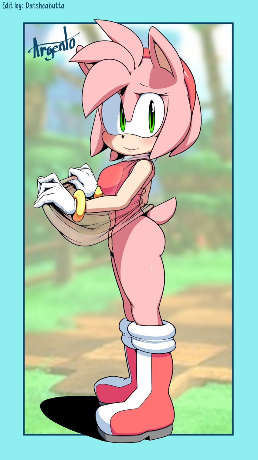 Rule Dev Accessory Amy Rose Anthro Anus Bald Crotch Big