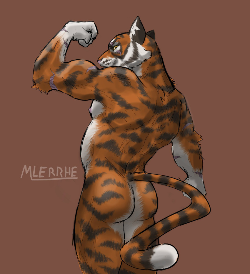 arm_up ass back back_muscles back_view belly biceps big_ass big_butt black_fur butt_focus flexing flexing_muscles fortnite furry furry_ass furry_male furry_only male male_only mlerrhe_(artist) muscles naked naked_male orange_fur oscar_(fortnite) scar scars smile smiling_at_viewer solo solo_male tail tiger tiger_ears tiger_tail twitter_username white_fur yellow_eyes