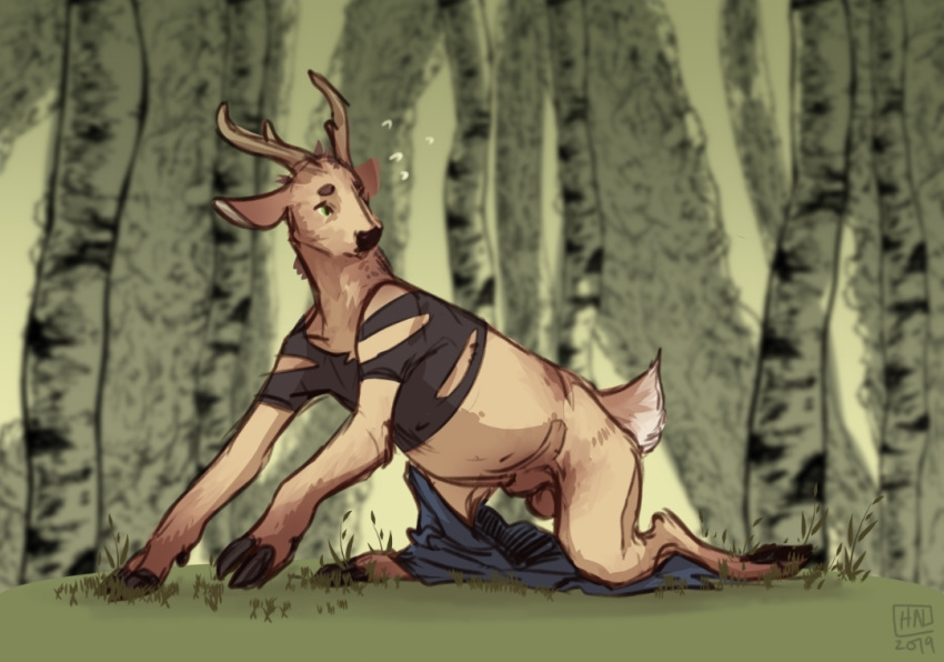 all_fours animal_genitalia antlers balls cervid clothing cloven_hooves feral forest furry grass green_eyes hooves horn human male mammal reservoirdog_(artist) sheath solo tail torn_clothing transformation tree