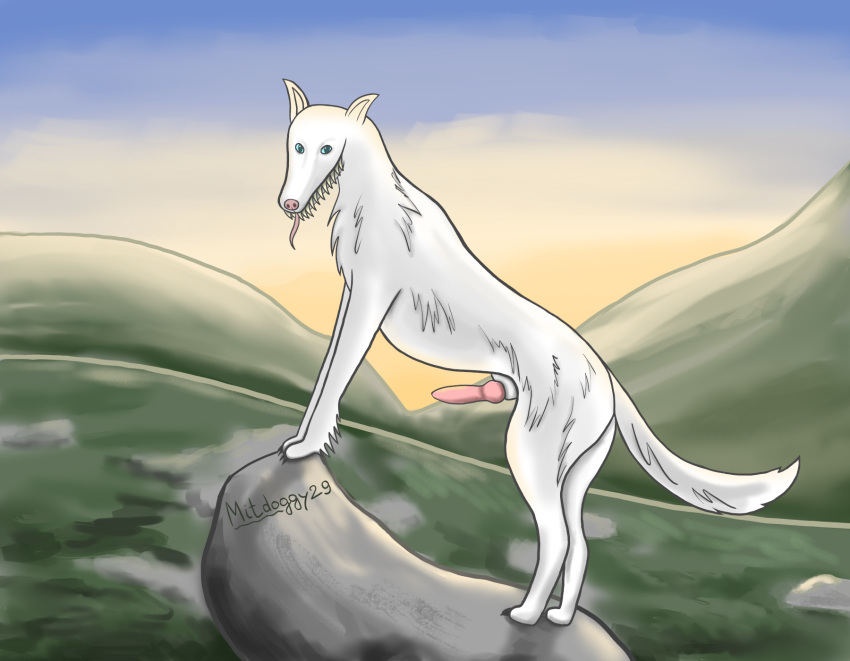 Animal Genitalia Rule 34 Image