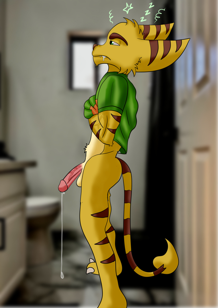 Ratchet (Ratchet And Clank) Rule 34 Image