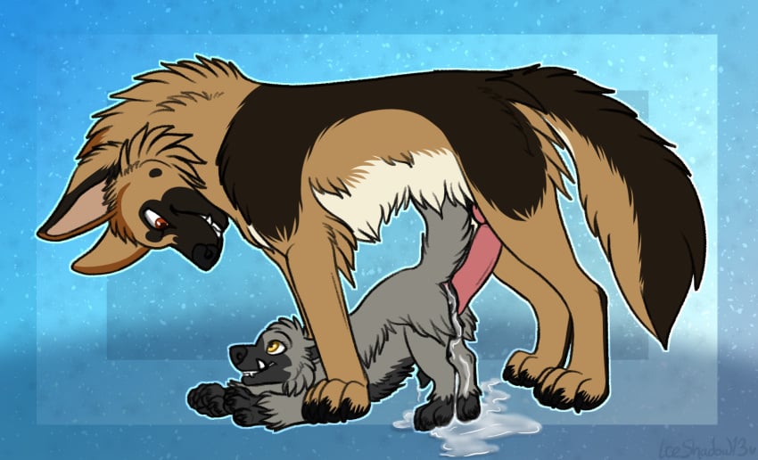 2boys all_fours anal animal_genitalia animal_penis anus ass big_penis black_nose black_penis blue_background brown_fur canine canine_penis canis claws cum cum_in_ass cum_inside digitigrade duo erection feet feral feral_on_feral fur furry gay german_shepherd grey_fur hi_res hyena iceshadow13 interspecies knot larger_male leaking looking_down male male_only mammal multicolored_fur nintendo north_shepherd nude original_character paws penis pokémon_(species) pokemon pokemon_(species) pokemon_rse poochyena quadruped red_eyes sex size_difference smaller_male standing stellarity_the_poochyena tail teeth text toe_claws video_games watermark yaoi yellow_eyes