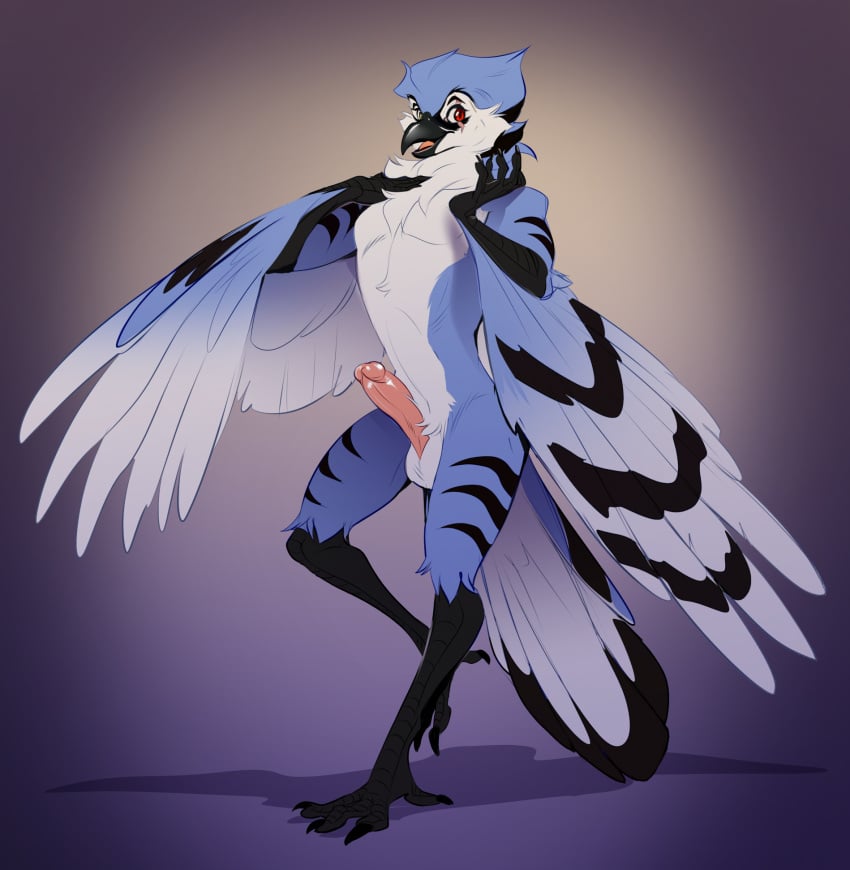 abstract_background anthro avian avis_jay avis_jay_(character) balls beak bird black_body black_feathers blue_body blue_feathers blue_jay chest_tuft corvid erection feathered_wings feathers feet genitals hi_res jay_(bird) male new_world_jay nude oscine passerine penis peritian red_eyes scar slit solo tail tail_feathers talons toes tuft white_body white_feathers wings yellow_eyes