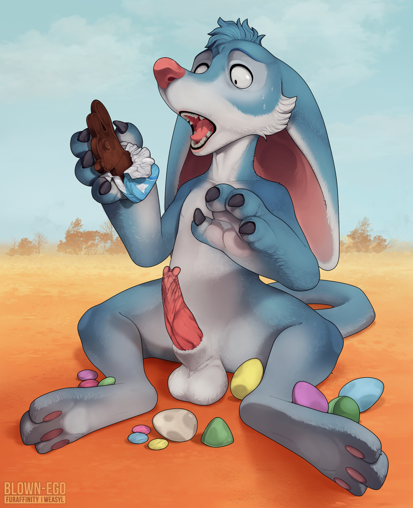 2019 animal_genitalia anthro balls bandicoot bilby bilby_(dreamworks) blown-ego blue_fur candy chocolate conditional_dnp dreamworks easter egg food fur hi_res holidays male male_only mammal marsupial multicolored_fur nude open_mouth outside pawpads penis perry_(bilby) shocked simple_background solo sweat white_fur