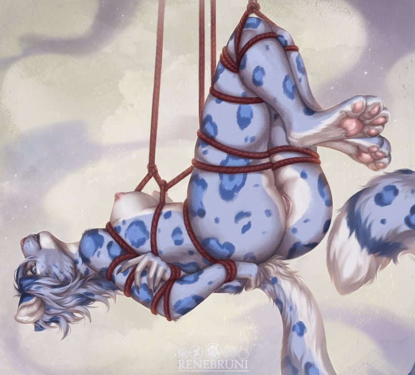 2024 4_toes 5_fingers accessory anthro bethesda_softworks blue_body blue_clothing blue_eyes blue_hair blue_spots bondage bound breasts clothing feet felid feline female fingers fur furniture genitals grey_body grey_fur hair hands_tied hi_res khajiit legs_tied leopard looking_at_viewer mammal markings nipples pantherine pussy renebruni restraints rope rope_bondage rope_harness simple_background smile snow_leopard solo spots spotted_body spotted_fur suspension tail text the_elder_scrolls toes tuft url white_body white_fur wrists_tied