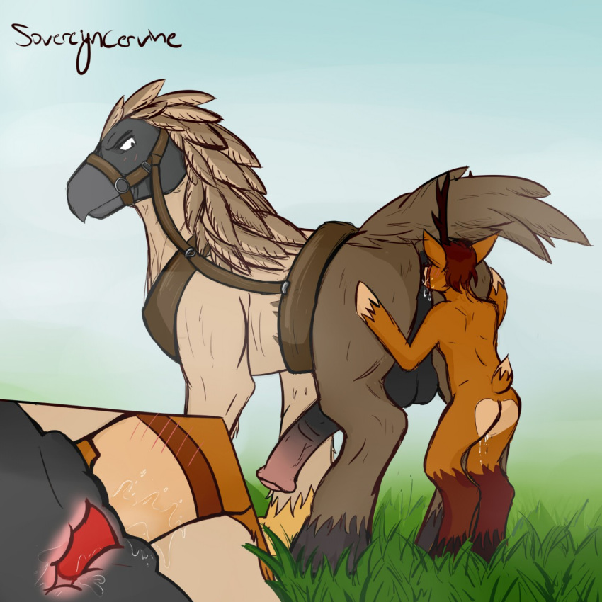 accipitrid accipitriform anal angry animal_genitalia animal_penis anthro anus avian balls beak beast_rimming big_anus big_penis bird blush brown_eyes cervid collar cuntboy cuntboy/male deep_rimming eagle equid equine equine_penis feathers feral gryphon hi_res hippogriff hippogryph hooves horse horse_tack horsecock hybrid intersex intersex/male male male_anilingus mammal oral penis philippine_eagle pirate_eagle puffy_anus pussy_juice rimming sex size_difference sovereigncervine tail_feathers talons tongue wet x-ray zoophilia