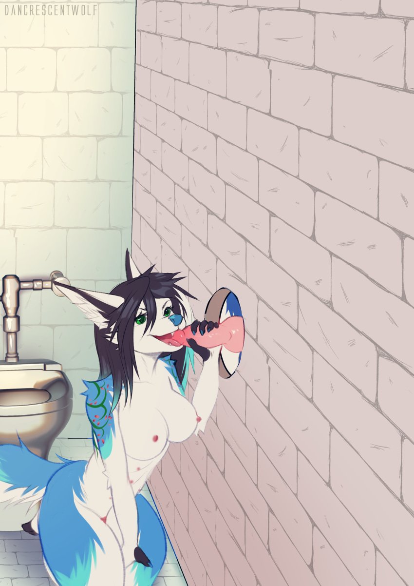 absurd_res animal_genitalia animal_penis anthro bathroom blue_body blue_eyes blue_fur canid canine canine_genitalia canine_penis canis dancrescentwolf duo fellatio female fur genitals glory_hole green_eyes hand_on_penis heterochromia hi_res ithilwen_galanodel male male/female mammal maris nipples oral penile penis sex tattoo white_body white_fur wolf