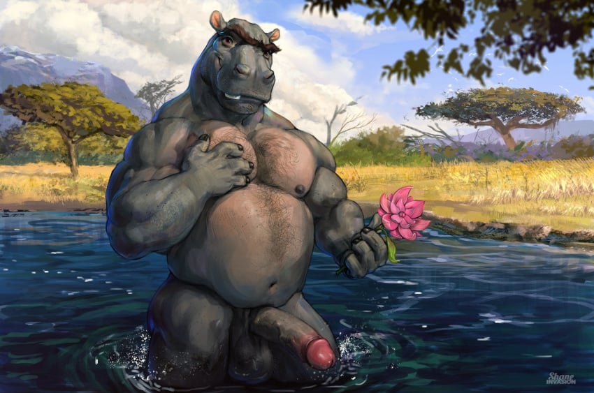 4_fingers anthro balls biceps body_hair common_hippopotamus detailed_background dreamworks erection eyebrows flower grey_skin hairy_balls hippopotamid holding_flower holding_object humanoid_penis looking_at_viewer madagascar_(series) madagascar_escape_2_africa male male_only mammal moto_moto musclegut nipples overweight overweight_male paramount_pictures partially_submerged pecs penis plant red_eyes shaneinvasion solo unibrow vein veiny_penis water