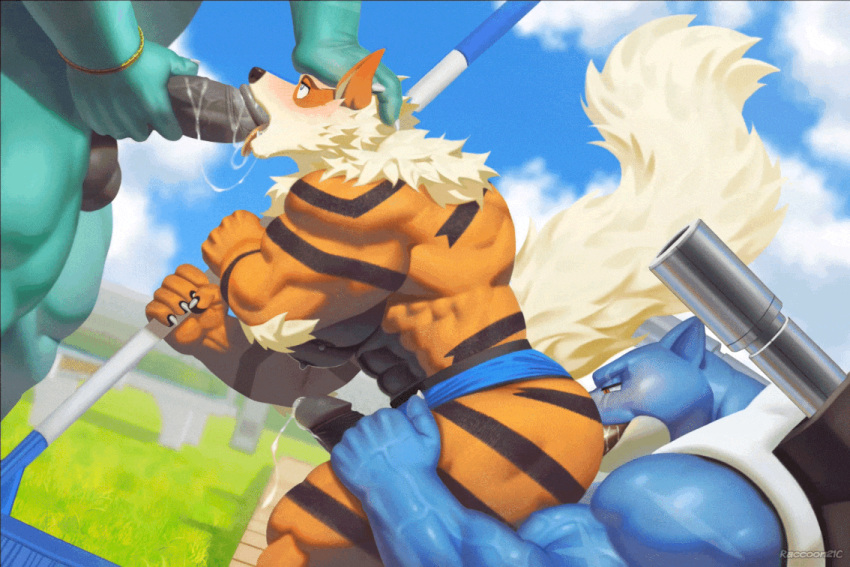 Arcanine (Nintendo) Rule 34 Image