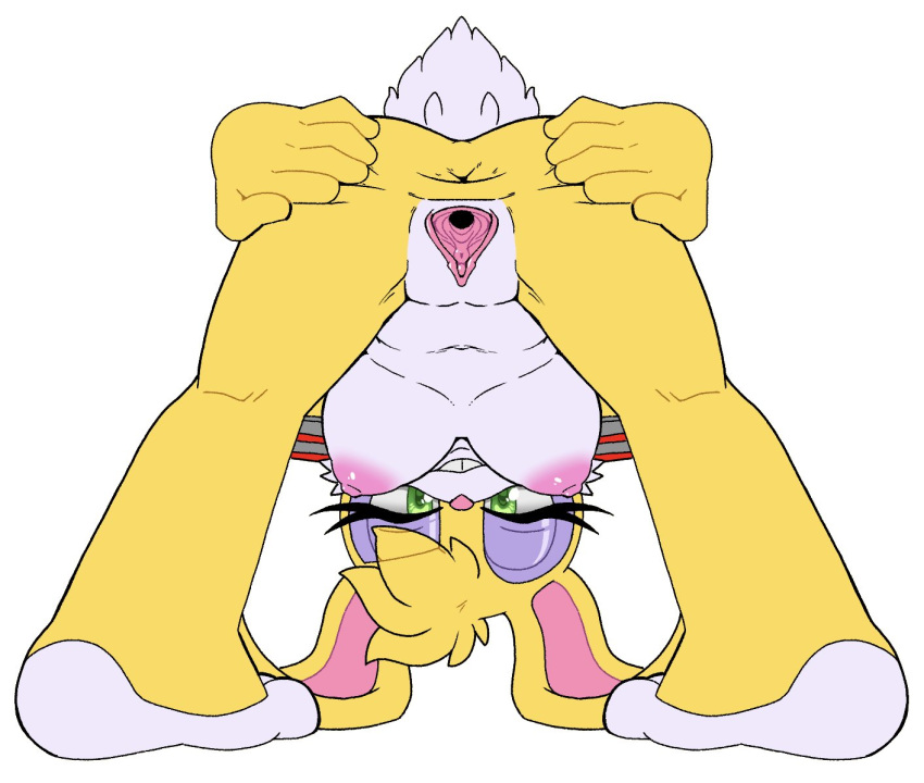 Buns Rabbot (Archie Comics) Rule 34 Image