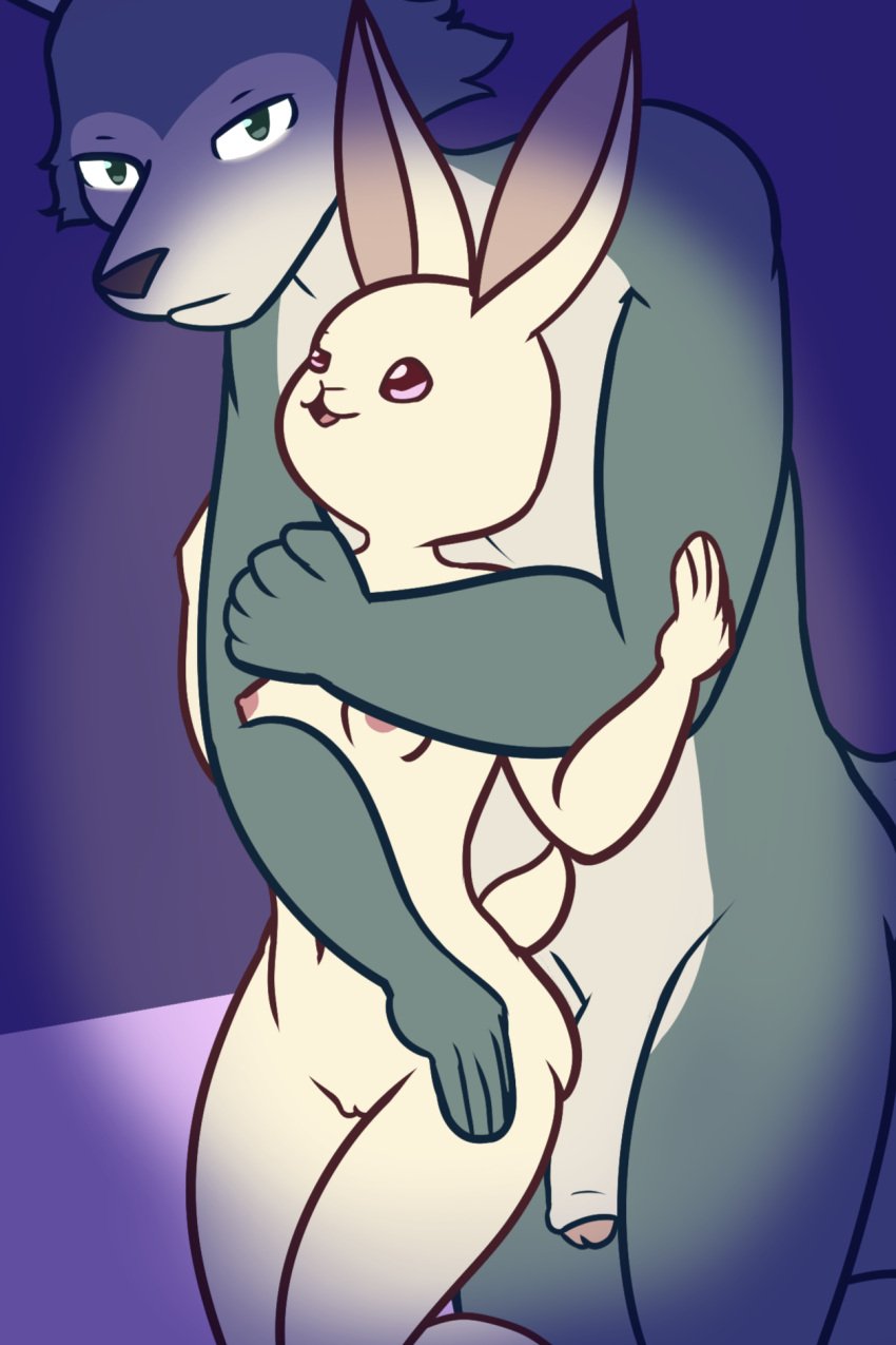 anthro beastars big_penis breasts canid canine canis domestic_rabbit duo dwarf_rabbit female genitals haru_(beastars) hi_res hug lagomorph larger_male legoshi_(beastars) leporid male mammal nokamiwd nude oryctolagus penis rabbit simple_background size_difference small_breasts smaller_female wolf