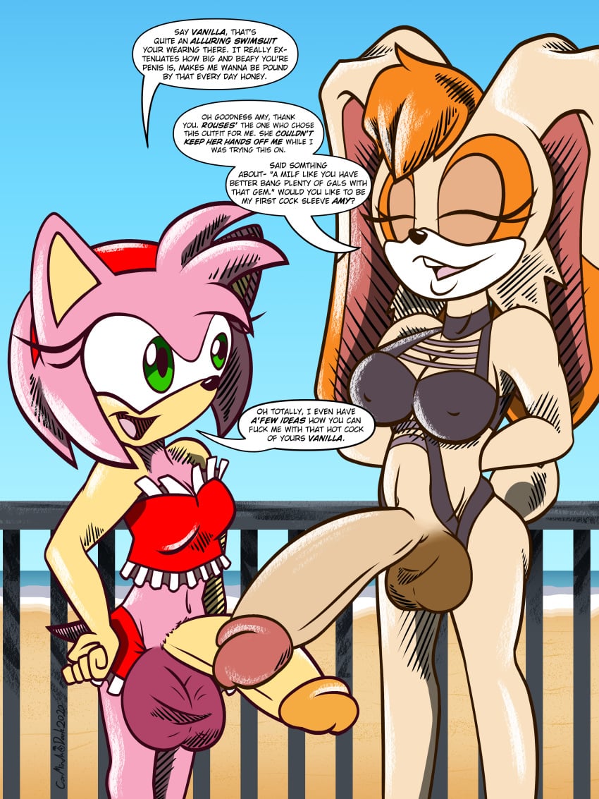 Sonic (Series) Rule 34 Image