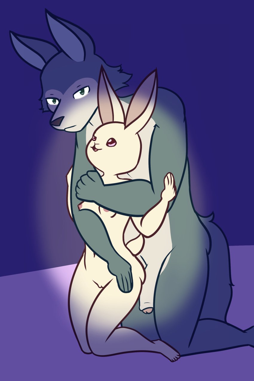 absurd_res anthro beastars big_penis breasts canid canine canis domestic_rabbit duo dwarf_rabbit female genitals haru_(beastars) hi_res hug lagomorph larger_male legoshi_(beastars) leporid male mammal nokamiwd nude oryctolagus penis rabbit simple_background size_difference small_breasts smaller_female wolf