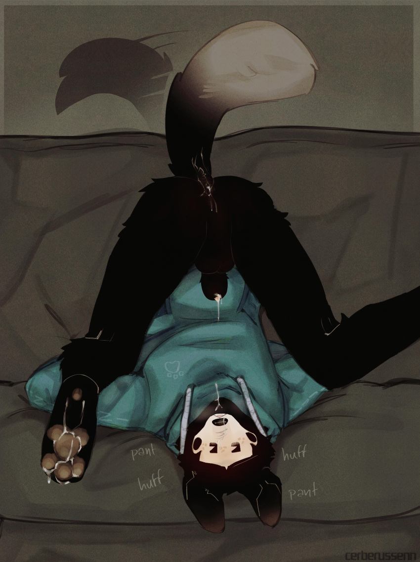 Lee Sweeto (Cerberussenn) Rule 34 Image