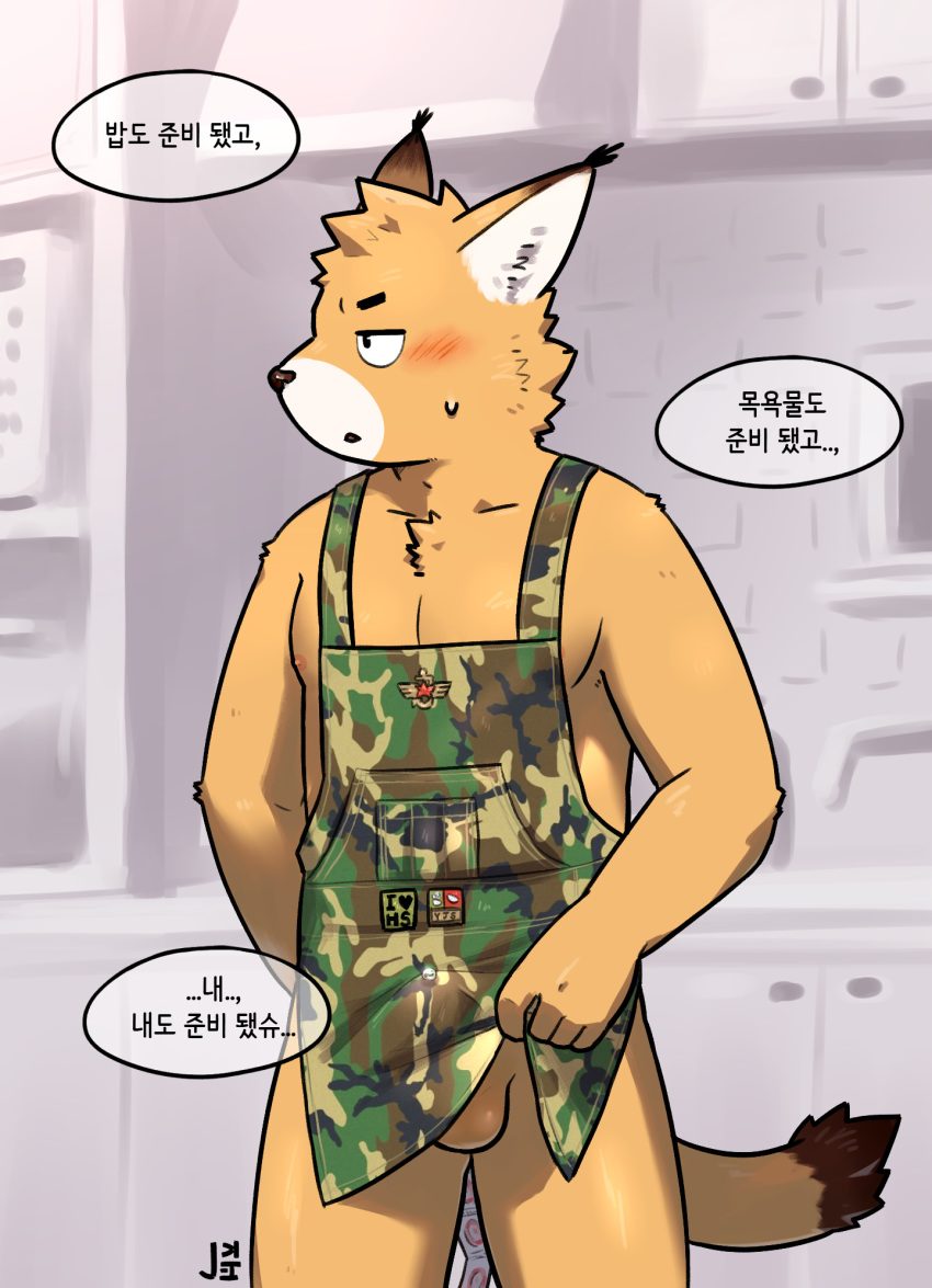 anthro apron balls blush brown_fur bulge clothing erection felid feline fur hi_res jeck korean_text lynx male male_only mammal nipples nude precum solo standing text white_fur