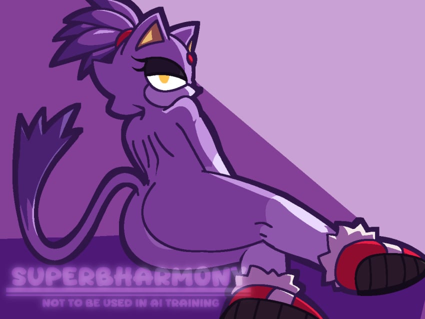 Blaze The Cat (Sonic (Series)) Rule 34 Image
