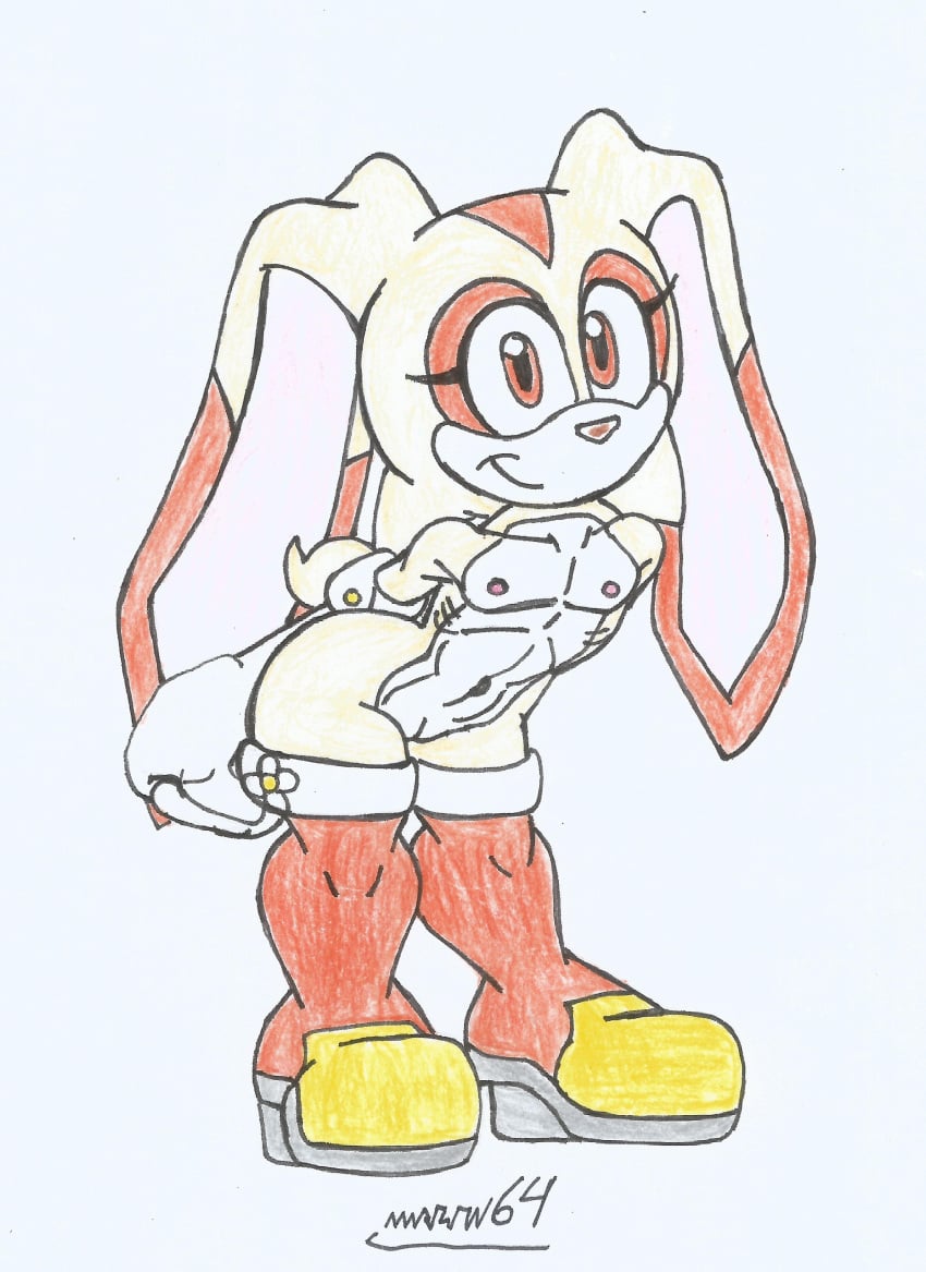 Cream The Rabbit (Sonic (Series)) Rule 34 Image