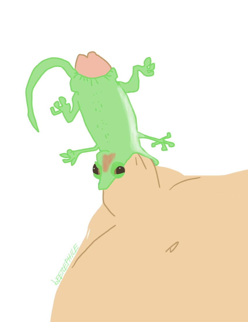 Geico Gecko Rule 34 Image