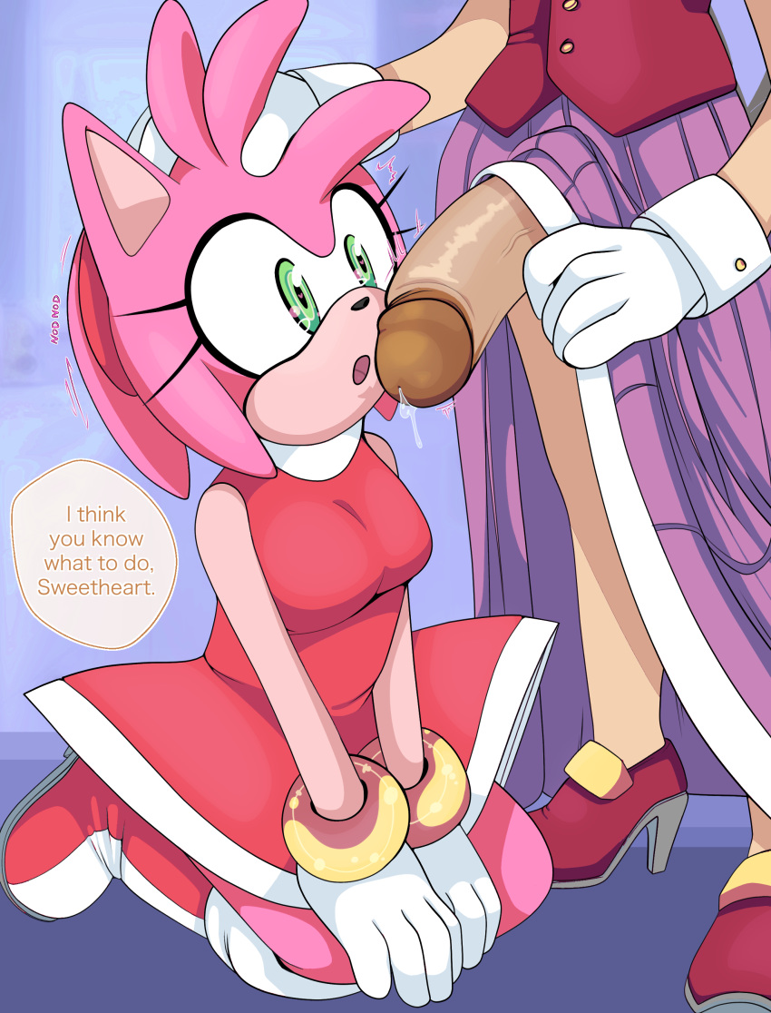 1futa 1girl1futa 1girls absurd_res amy_rose anthro anthro_only breasts clothing dress english english_text female femsub furry furry_only futa_on_female futadom futanari futanari/female green_eyes hand_on_head heart-shaped_pupils heels hi_res high_heels huge_penis imminent_oral intersex intersex/female interspecies kneeling older_futanari on_knees open_mouth penis penis_awe precum red_dress saltwatertoffee sega skirt sonic_(series) standing text vanilla_the_rabbit veins veiny_penis wariza younger_female