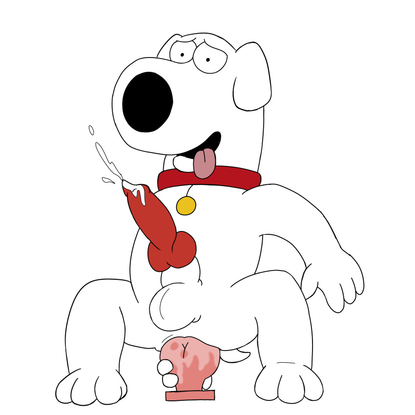 2019 absurd_res anal anal_masturbation animal_genitalia animal_penis anthro balls brian_griffin canid canine canine_penis canis collar cum domestic_dog erection family_guy fur hi_res knot looking_at_viewer looking_pleasured magzol male male_only mammal masturbation orgasm penis solo tongue tongue_out transparent_background white_fur