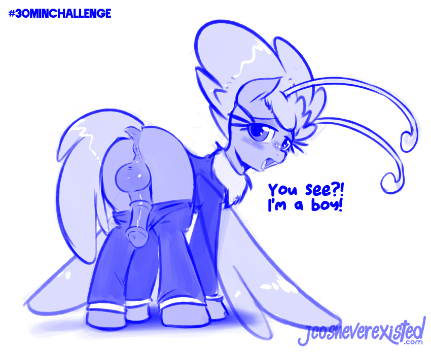 balls blush breezie_(mlp) clothing equine erection fairy friendship_is_magic fur hair horsecock jcosneverexisted my_little_pony penis plain_background standing wings