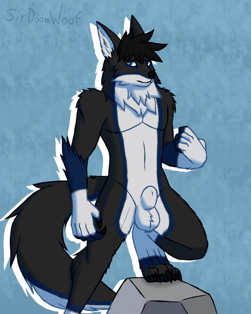 2019 animal_genitalia anthro balls blue_eyes canid canine canis chest_tuft fluffy fully_sheathed fur fur_markings gloves_(marking) hair hi_res male mammal markings nude sheath simple_background sirdoomwolf socks_(marking) solo tuft void_doomwolf white_fur wolf