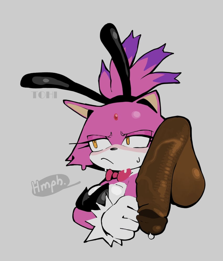 Blaze The Cat (Sega) Rule 34 Image