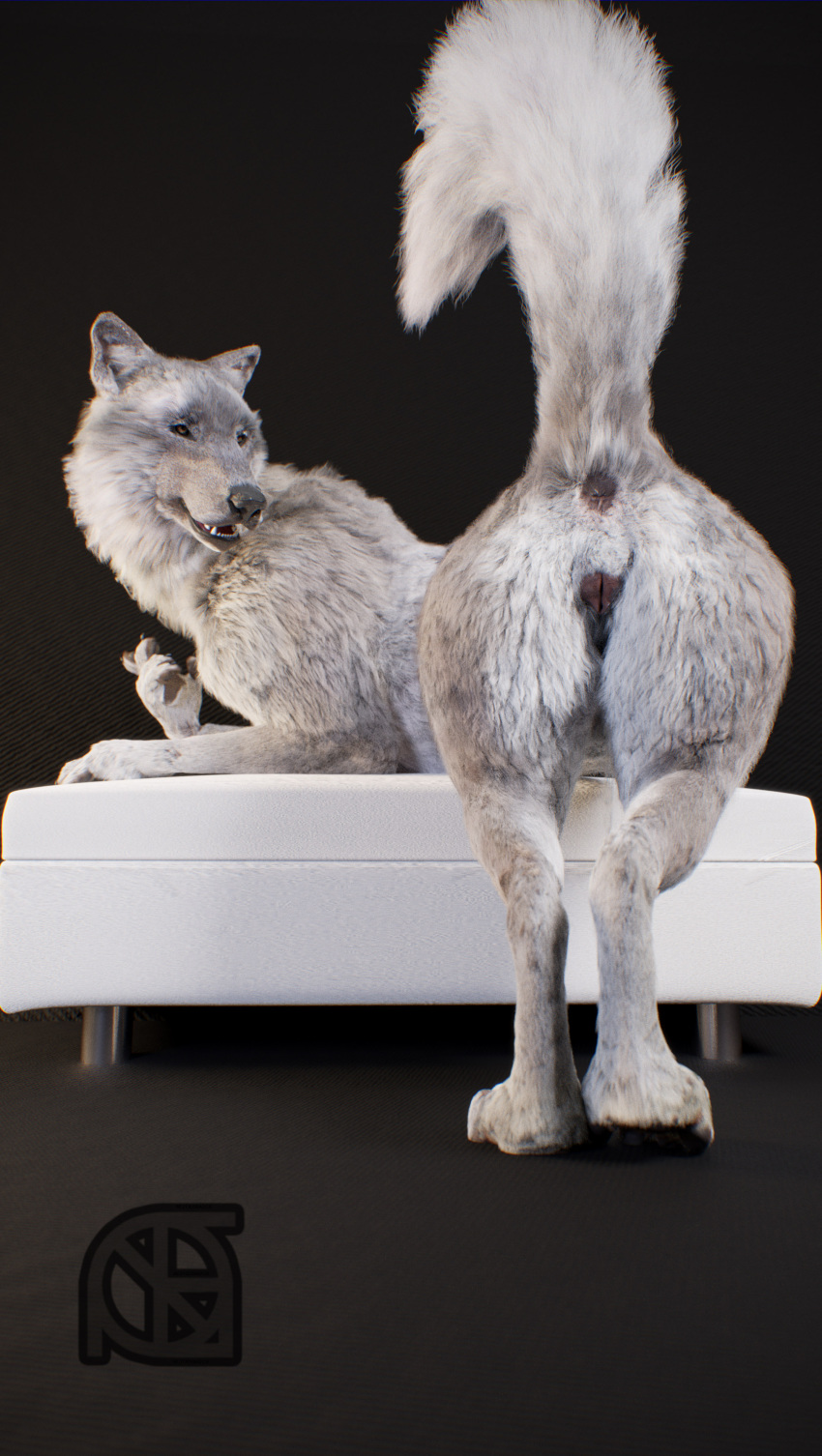 3d absurd_res animal_genitalia animal_pussy anthro anus ass black_nose canid canine canine_pussy canis cosmiclife feet female feral flat_chested fur grey_fur helga_(cosmiclife) hi_res looking_at_viewer looking_back mammal open_mouth ottoman paws pinup pose presenting presenting_anus presenting_hindquarters presenting_pussy pussy raised_tail realistic semi-anthro smile solo teeth wolf