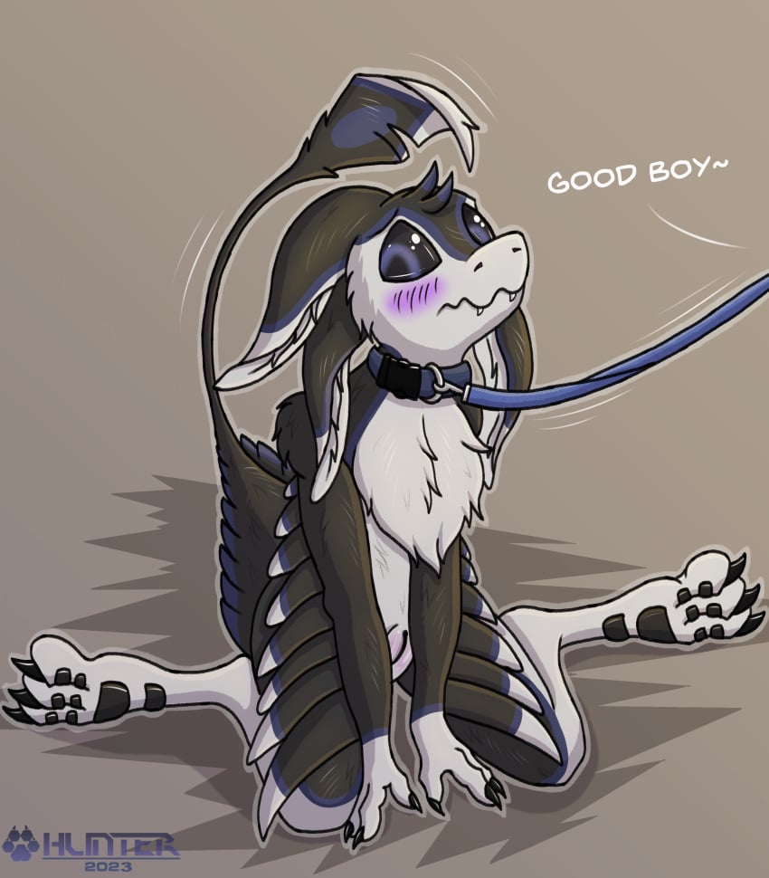 1nfer0 absurd_res anthro avali blush collar good_boy hi_res leash leash_pull leashed_collar male solo submissive submissive_male