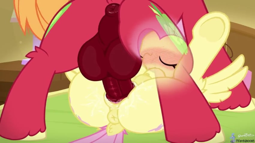 big_macintosh_(mlp) fluttershy_(mlp) fluttershyfann80085 horse horsecock missionary_position my_little_pony pony see-through sherathoz tagme