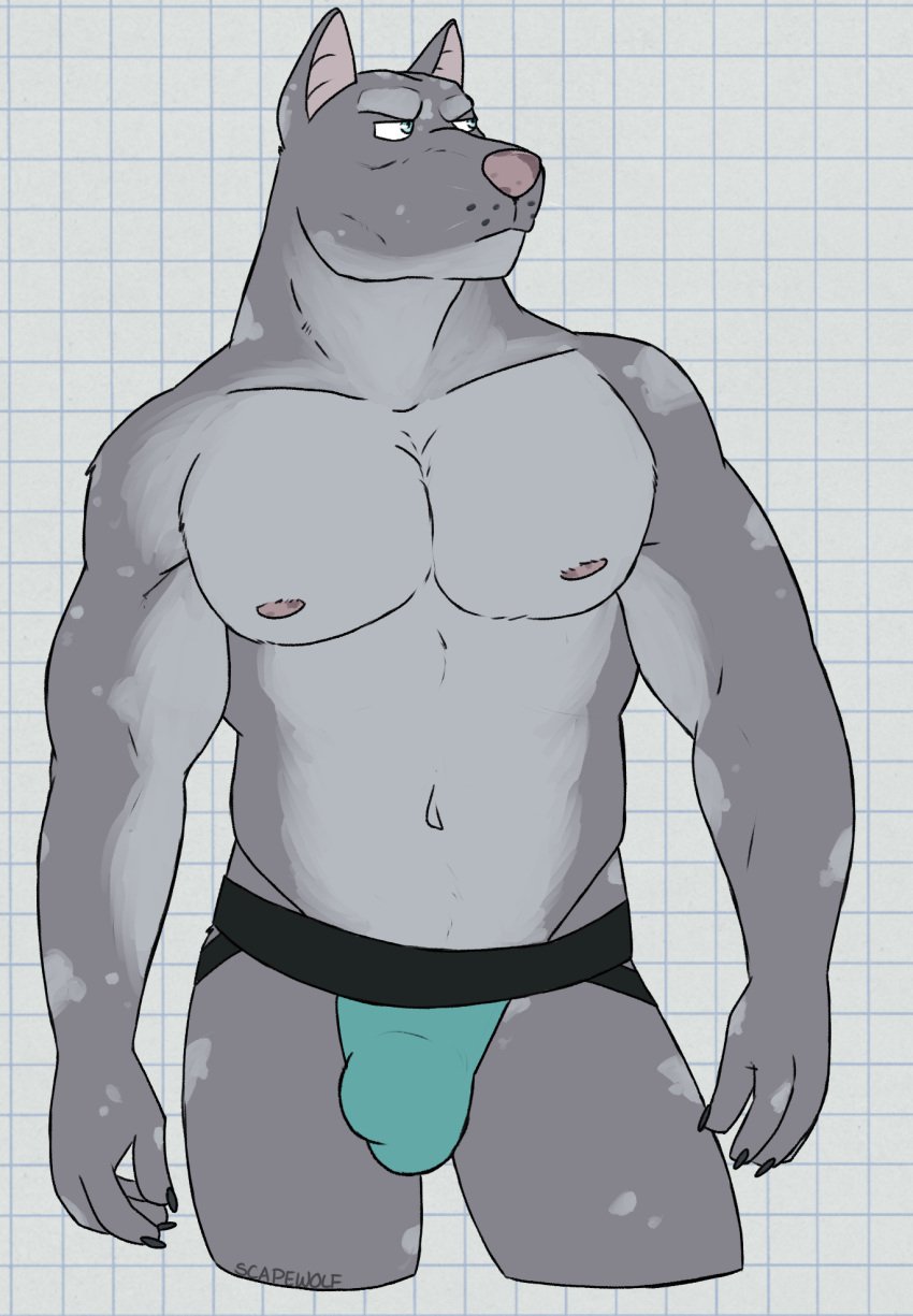 2024 5_fingers anthro athletic athletic_anthro athletic_male biped black_claws bulge canid canine canis checkered checkered_background claws clothed clothed_anthro clothed_male clothing detailed_bulge digital_drawing_(artwork) digital_media_(artwork) domestic_dog eyebrows finger_claws fingers fur grey_body grey_fur grey_nose hi_res humanoid_hands jockstrap jockstrap_only looking_aside male male_anthro mammal navel nipples nocce_(roads_yet_traveled) partially_clothed partially_clothed_anthro partially_clothed_male pattern_background pecs portrait roads_yet_traveled simple_background solo standing three-quarter_portrait topless topless_anthro topless_male tuft underwear underwear_only unsafescapewolf white_background white_sclera